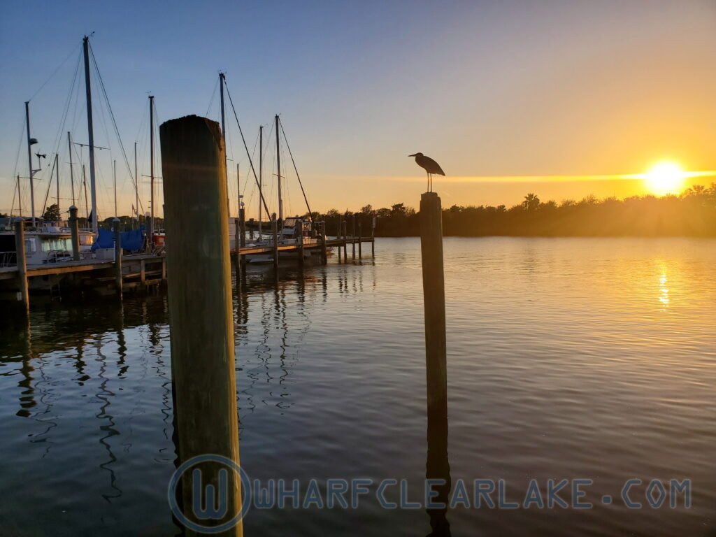 Wharf Marina view